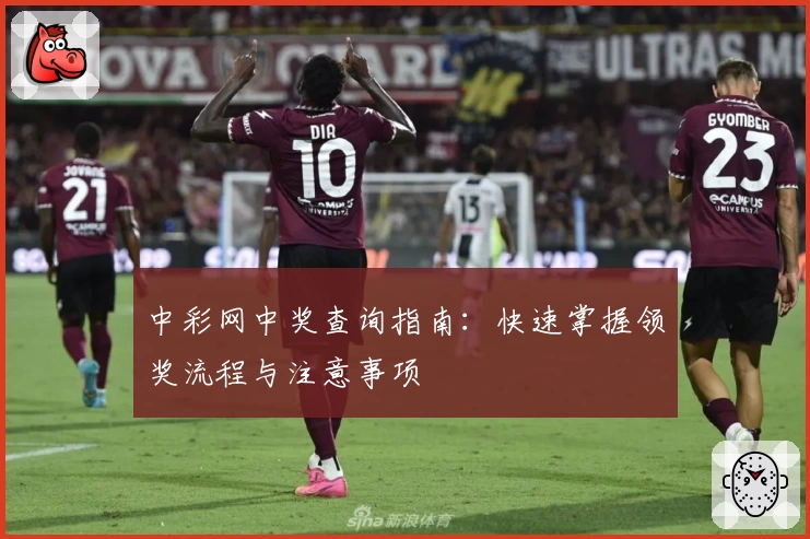 中彩网中奖查询指南：快速掌握领奖流程与注意事项