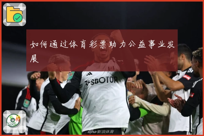 如何通过体育彩票助力公益事业发展