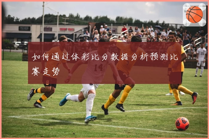 如何通过体彩比分数据分析预测比赛走势