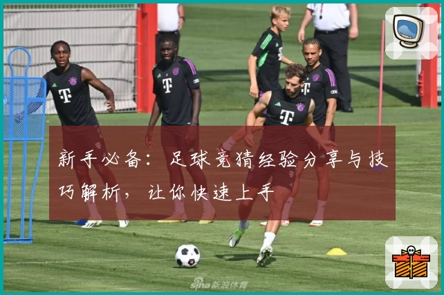 新手必备：足球竞猜经验分享与技巧解析，让你快速上手