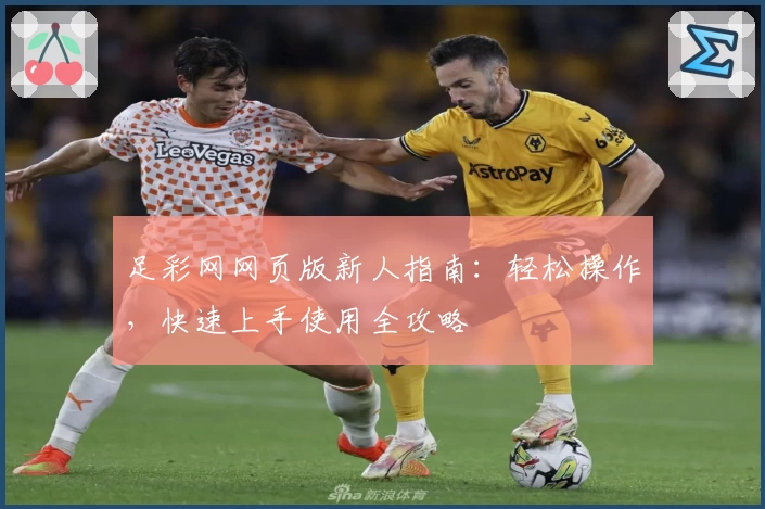 足彩网网页版新人指南：轻松操作，快速上手使用全攻略
