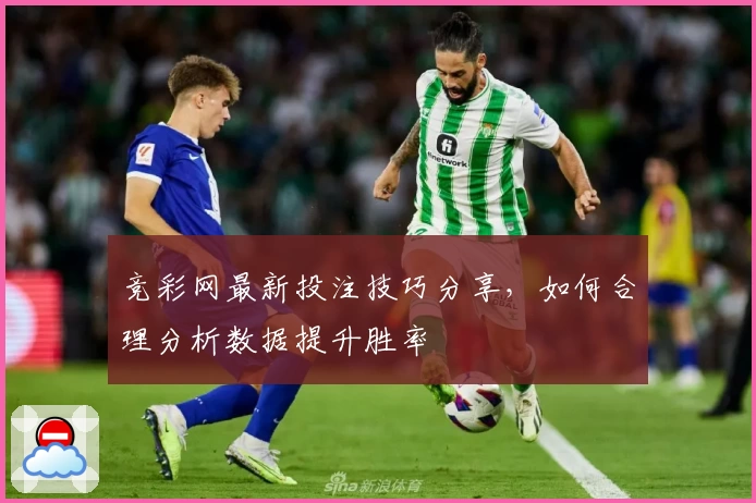 竞彩网最新投注技巧分享，如何合理分析数据提升胜率